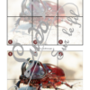 Jeu Puzzles Trac - Insectes et petites bêtes du jardin - inspiré du célèbre Shut the box - Fermer la boîte - Trac - lance les dés, choisis les pièces et complète ton puzzle au maximum - Mathématiques, constellations, dénombrement, additions, décomposition additive, stratégie, probabilité, différentes représentations nombre - Printemps - Jeu de société en 3 niveaux progressifs - de 1 à 18 - Atelier maternelle et élémentaire - PDF à télécharger et imprimer ou jeu imprimé - cycles 1 ou 2 - calcul - lslf