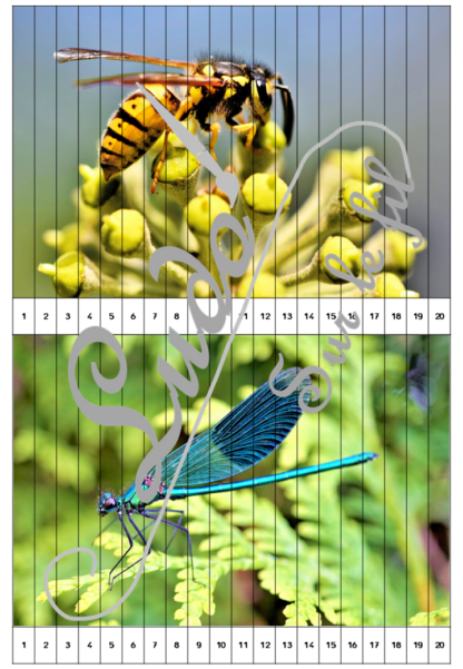Jeu Puzzles numériques - Insectes et autres petites bêtes du jardin - 28 puzzles en 9 niveaux progressifs - Suite numérique de 1 à 20 - Comptage de 2 en 2 - Chiffres pairs et impairs - Comptage de 10 en 10 - Connaissance Chiffres et Dizaines - Mathématiques - Comptine numérique - Printemps, nature, animaux - Atelier autonome maternelle et élémentaire - PDF à télécharger et imprimer ou jeu imprimé - cycles 1 ou 2 - lslf
