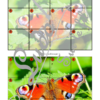 Jeu Puzzles Trac - Insectes et petites bêtes du jardin - inspiré du célèbre Shut the box - Fermer la boîte - Trac - lance les dés, choisis les pièces et complète ton puzzle au maximum - Mathématiques, constellations, dénombrement, additions, décomposition additive, stratégie, probabilité, différentes représentations nombre - Printemps - Jeu de société en 3 niveaux progressifs - de 1 à 18 - Atelier maternelle et élémentaire - PDF à télécharger et imprimer ou jeu imprimé - cycles 1 ou 2 - calcul - lslf