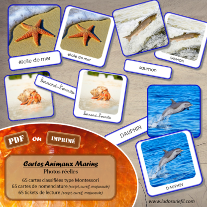 Jeu de cartes type Montessori (classifiées et de nomenclature) - Animaux marins - Océans, mer et été - connus et moins connus - Poissons, mammifères, crustacés, coquillages - Photos réelles avec fond - Autocorrection au dos (noms pour lecteurs, symboles pour non lecteurs) - 3 graphies disponibles - Script, majuscule, cursif - Document PDF à télécharger et imprimer ou jeu imprimé - Classification - 64 cartes - Tickets de lecture - atelier autocorrectif maternelle élémentaire - Cycle 1 ou 2 - discrimination visuelle, observation, culture générale, lecture de mots, langage oral, lexique - lslf