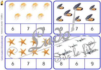 Jeu de cartes à pince de dénombrement de 1 à 15 - Thème Animaux marins - 30 cartes autocorrectives avec différentes représentations des nombres - constellations du dé, chiffres, doigts de la main, mélangé - compter de 1 à 15 - 120 cartes réparties en 4 niveaux de difficulté - progressif - Autocorrection au dos - Atelier autonome maternelle ou élémentaire - Cycles 1 et 2 - Document PDF à télécharger et imprimer ou jeu imprimé - Motricité fine et pince Pouce-Index avec pinces à linge - ludique - Thème été, mer et océan - lslf