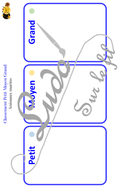 Jeu de classement, de rangement et de tri par taille - Animaux marins - Cartes à trier, à classer et à ranger - Petit Moyen Grand - Océans, mer, poissons, crustacés, coquillages, mammifères marins, été - fichier PDF à télécharger et à imprimer ou jeu imprimé - atelier autocorrectif maternelle et pré-scolaire - lslf