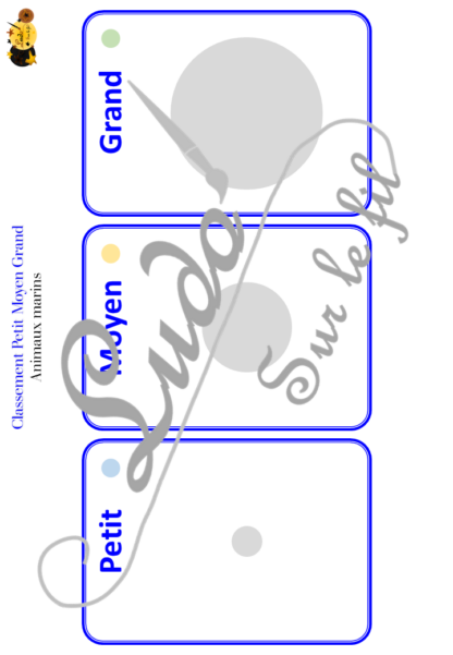 Jeu de classement, de rangement et de tri par taille - Animaux marins - Cartes à trier, à classer et à ranger - Petit Moyen Grand - Océans, mer, poissons, crustacés, coquillages, mammifères marins, été - fichier PDF à télécharger et à imprimer ou jeu imprimé - atelier autocorrectif maternelle et pré-scolaire - lslf