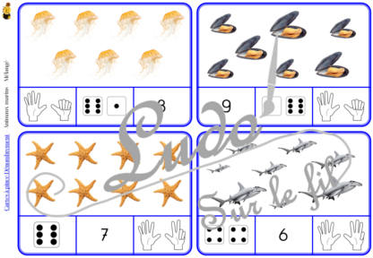 Jeu de cartes à pince de dénombrement de 1 à 15 - Thème Animaux marins - 30 cartes autocorrectives avec différentes représentations des nombres - constellations du dé, chiffres, doigts de la main, mélangé - compter de 1 à 15 - 120 cartes réparties en 4 niveaux de difficulté - progressif - Autocorrection au dos - Atelier autonome maternelle ou élémentaire - Cycles 1 et 2 - Document PDF à télécharger et imprimer ou jeu imprimé - Motricité fine et pince Pouce-Index avec pinces à linge - ludique - Thème été, mer et océan - lslf