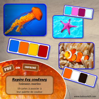 Jeu repère les couleurs - Animaux marins - photos / cartes à associer aux palettes de 4 couleurs - à télécharger et à imprimer - atelier autocorrectif maternelle ou cycle 2 - observation, déduction, logique, discrimination visuelle, vocabulaire et lexique - Thème animaux, poissons, mer, océans, été - lslf