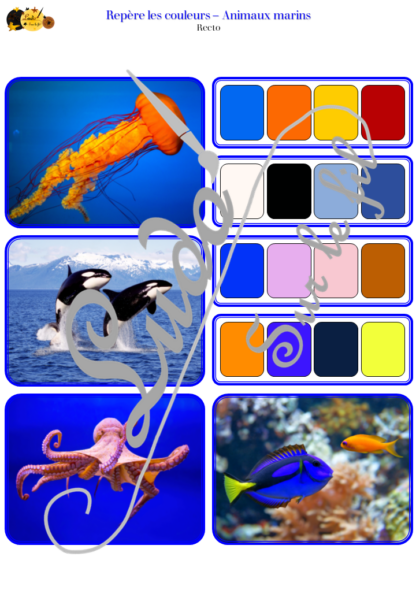 Jeu repère les couleurs - Animaux marins - photos / cartes à associer aux palettes de 4 couleurs - à télécharger et à imprimer - atelier autocorrectif maternelle ou cycle 2 - observation, déduction, logique, discrimination visuelle, vocabulaire et lexique - Thème animaux, poissons, mer, océans, été - lslf