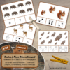 Jeu de cartes à pince de dénombrement de 1 à 15 - Thème Animaux de la forêt et des campagnes - 30 cartes autocorrectives avec différentes représentations des nombres - constellations du dé, chiffres, doigts de la main, mélangé - compter de 1 à 15 - 120 cartes réparties en 4 niveaux de difficulté - progressif - Autocorrection au dos - Atelier autonome maternelle ou élémentaire - Cycles 1 et 2 - Document PDF à télécharger et imprimer ou jeu imprimé - Motricité fine et pince Pouce-Index avec pinces à linge - ludique - Thème automne, nature, bois - lslf
