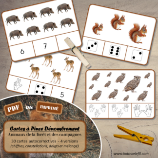 Jeu de cartes à pince de dénombrement de 1 à 15 - Thème Animaux de la forêt et des campagnes - 30 cartes autocorrectives avec différentes représentations des nombres - constellations du dé, chiffres, doigts de la main, mélangé - compter de 1 à 15 - 120 cartes réparties en 4 niveaux de difficulté - progressif - Autocorrection au dos - Atelier autonome maternelle ou élémentaire - Cycles 1 et 2 - Document PDF à télécharger et imprimer ou jeu imprimé - Motricité fine et pince Pouce-Index avec pinces à linge - ludique - Thème automne, nature, bois - lslf