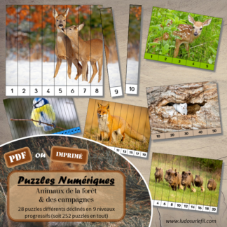 Jeu Puzzles numériques - Animaux de la forêt et des campagnes - 28 puzzles en 9 niveaux progressifs - Suite numérique de 1 à 20 - Comptage de 2 en 2 - Chiffres pairs et impairs - Comptage de 10 en 10 - Connaissance Chiffres et Dizaines - Mathématiques - Comptine numérique - Automne, nature, animaux, bois, champs - Atelier autonome maternelle et élémentaire - PDF à télécharger et imprimer ou jeu imprimé - cycles 1 ou 2 - lslf