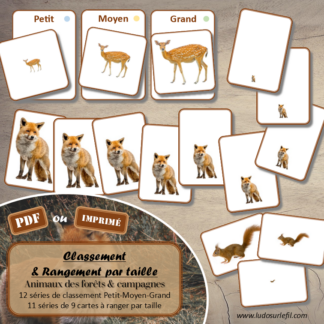 Jeu de classement, de rangement et de tri par taille - Animaux de la forêt et de la campagne - Cartes à trier, à classer et à ranger - Petit Moyen Grand - Forêts, campagnes, bois, champs, mammifères, insectes, oiseaux, automne - fichier PDF à télécharger et à imprimer ou jeu imprimé - atelier autocorrectif maternelle et pré-scolaire - lslf