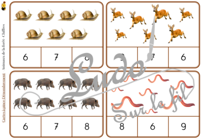 Jeu de cartes à pince de dénombrement de 1 à 15 - Thème Animaux de la forêt et des campagnes - 30 cartes autocorrectives avec différentes représentations des nombres - constellations du dé, chiffres, doigts de la main, mélangé - compter de 1 à 15 - 120 cartes réparties en 4 niveaux de difficulté - progressif - Autocorrection au dos - Atelier autonome maternelle ou élémentaire - Cycles 1 et 2 - Document PDF à télécharger et imprimer ou jeu imprimé - Motricité fine et pince Pouce-Index avec pinces à linge - ludique - Thème automne, nature, bois - lslf