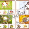 Jeu de cartes à pince - Puzzles - Thème Animaux de la forêt et des campagnes - 76 cartes autocorrectives de différents niveaux - 3 ou 4 propositions de réponses - Niveau 1 : pièces issues de puzzles différents - Niveau 2 : pièces issues du même puzzle - différents niveaux de difficulté - progressif - Autocorrection au dos : point grisé + nom de l'animal - Atelier autonome pré-scolaire, maternelle ou élémentaire - Cycles 1 et 2 - Document PDF à télécharger et imprimer ou jeu imprimé - Motricité fine et pince Pouce-Index avec pinces à linge, observation, discrimination visuelle, logique - ludique - Thème automne, nature, bois - lslf