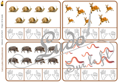 Jeu de cartes à pince de dénombrement de 1 à 15 - Thème Animaux de la forêt et des campagnes - 30 cartes autocorrectives avec différentes représentations des nombres - constellations du dé, chiffres, doigts de la main, mélangé - compter de 1 à 15 - 120 cartes réparties en 4 niveaux de difficulté - progressif - Autocorrection au dos - Atelier autonome maternelle ou élémentaire - Cycles 1 et 2 - Document PDF à télécharger et imprimer ou jeu imprimé - Motricité fine et pince Pouce-Index avec pinces à linge - ludique - Thème automne, nature, bois - lslf