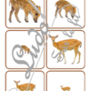 Jeu de classement, de rangement et de tri par taille - Animaux de la forêt et de la campagne - Cartes à trier, à classer et à ranger - Petit Moyen Grand - Forêts, campagnes, bois, champs, mammifères, insectes, oiseaux, automne - fichier PDF à télécharger et à imprimer ou jeu imprimé - atelier autocorrectif maternelle et pré-scolaire - lslf