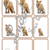 Jeu de classement, de rangement et de tri par taille - Animaux de la forêt et de la campagne - Cartes à trier, à classer et à ranger - Petit Moyen Grand - Forêts, campagnes, bois, champs, mammifères, insectes, oiseaux, automne - fichier PDF à télécharger et à imprimer ou jeu imprimé - atelier autocorrectif maternelle et pré-scolaire - lslf
