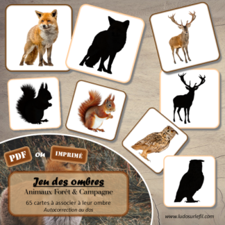 Jeu des ombres - Animaux de la forêt & de la campagne -Automne - Vocabulaire, lexique - cartes à associer aux ombres - document PDF à télécharger et à imprimer ou jeu imprimé - atelier autocorrectif et autonome maternelle - lslf