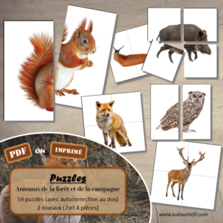 Jeu de puzzles - Animaux de la forêt et de la campagne - Automne - 2 et 4 pièces - Demi animaux - 59 photos sur fond blanc à reconstituer - Jeu et atelier autocorrectif association - observation - discrimination visuelle - PDF à télécharger et à imprimer ou jeu imprimé - Autocorrection - Atelier maternelle Cycle 2 - Vocabulaire - lslf