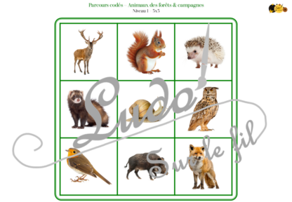 Suis les parcours codés - Animaux de la forêt et de la campagne : mammifères, insectes, oiseaux... - codage, repérage et vocabulaire spatial - jeu et atelier autonome et autocorrectif Maternelle (Cycle 1) et Primaire (Cycle 2) - Niveaux et difficulté progressifs - PDF à télécharger et à imprimer ou jeu imprimé - difficulté progressive et solutions - lslf