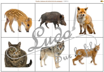 Jeu de puzzles - Animaux de la forêt et de la campagne - Automne - 2 et 4 pièces - Demi animaux - 59 photos sur fond blanc à reconstituer - Jeu et atelier autocorrectif association - observation - discrimination visuelle - PDF à télécharger et à imprimer ou jeu imprimé - Autocorrection - Atelier maternelle Cycle 2 - Vocabulaire - lslf