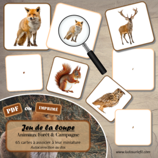 Jeu de la loupe - Animaux de la forêt & de la campagne -Automne - Vocabulaire, lexique - cartes à associer aux miniatures - Utilisation d'une loupe - document PDF à télécharger et à imprimer ou jeu imprimé - atelier autocorrectif et autonome maternelle - lslf