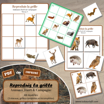 Reproduis la grille - Animaux de la forêt et de la campagne - 48 modèles à reproduire - Repérage dans l'espace et vocabulaire spatial - Variante pour travailler la mémoire - Variante à deux pour le langage oral - Dicte, décris la grille pour que l'autre jouer la reproduise - jeu et atelier autonome Maternelle (Cycle 1) et Primaire (Cycle 2) - PDF à télécharger et à imprimer ou jeu imprimé - difficulté progressive - repérage spatial - se repérer dans une grille, dans un tableau - Thèmes automne, bois, nature lslf