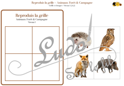 Reproduis la grille - Animaux de la forêt et de la campagne - 48 modèles à reproduire - Repérage dans l'espace et vocabulaire spatial - Variante pour travailler la mémoire - Variante à deux pour le langage oral - Dicte, décris la grille pour que l'autre jouer la reproduise - jeu et atelier autonome Maternelle (Cycle 1) et Primaire (Cycle 2) - PDF à télécharger et à imprimer ou jeu imprimé - difficulté progressive - repérage spatial - se repérer dans une grille, dans un tableau - Thèmes automne, bois, nature lslf