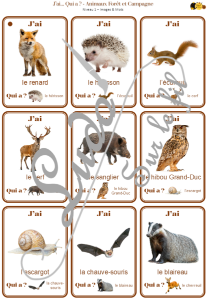 Jeu J'ai... qui a ? Animaux de la forêt et de la campagne - Travail sur le vocabulaire des animaux - développement et réinvestissement du langage, du lexique, de la logique - 70 cartes - 3 niveaux - 3 versions - lecture de mots - Jeu évolutif - Atelier autonome maternelle et cycle 2 - fichier à télécharger et à imprimer sous format PDF ou jeu imprimé - Automne, bois, nature