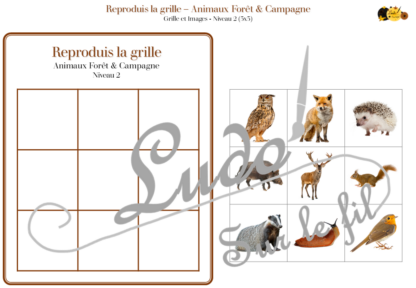 Reproduis la grille - Animaux de la forêt et de la campagne - 48 modèles à reproduire - Repérage dans l'espace et vocabulaire spatial - Variante pour travailler la mémoire - Variante à deux pour le langage oral - Dicte, décris la grille pour que l'autre jouer la reproduise - jeu et atelier autonome Maternelle (Cycle 1) et Primaire (Cycle 2) - PDF à télécharger et à imprimer ou jeu imprimé - difficulté progressive - repérage spatial - se repérer dans une grille, dans un tableau - Thèmes automne, bois, nature lslf