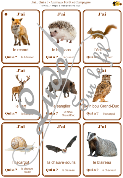 Jeu J'ai... qui a ? Animaux de la forêt et de la campagne - Travail sur le vocabulaire des animaux - développement et réinvestissement du langage, du lexique, de la logique - 70 cartes - 3 niveaux - 3 versions - lecture de mots - Jeu évolutif - Atelier autonome maternelle et cycle 2 - fichier à télécharger et à imprimer sous format PDF ou jeu imprimé - Automne, bois, nature