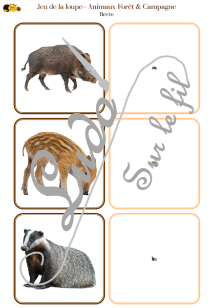 Jeu de la loupe - Animaux de la forêt & de la campagne -Automne - Vocabulaire, lexique - cartes à associer aux miniatures - Utilisation d'une loupe - document PDF à télécharger et à imprimer ou jeu imprimé - atelier autocorrectif et autonome maternelle - lslf