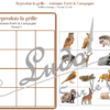 Reproduis la grille - Animaux de la forêt et de la campagne - 48 modèles à reproduire - Repérage dans l'espace et vocabulaire spatial - Variante pour travailler la mémoire - Variante à deux pour le langage oral - Dicte, décris la grille pour que l'autre jouer la reproduise - jeu et atelier autonome Maternelle (Cycle 1) et Primaire (Cycle 2) - PDF à télécharger et à imprimer ou jeu imprimé - difficulté progressive - repérage spatial - se repérer dans une grille, dans un tableau - Thèmes automne, bois, nature lslf