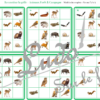 Reproduis la grille - Animaux de la forêt et de la campagne - 48 modèles à reproduire - Repérage dans l'espace et vocabulaire spatial - Variante pour travailler la mémoire - Variante à deux pour le langage oral - Dicte, décris la grille pour que l'autre jouer la reproduise - jeu et atelier autonome Maternelle (Cycle 1) et Primaire (Cycle 2) - PDF à télécharger et à imprimer ou jeu imprimé - difficulté progressive - repérage spatial - se repérer dans une grille, dans un tableau - Thèmes automne, bois, nature lslf