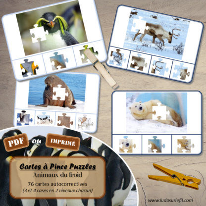 Jeu de cartes à pince - Puzzles - Thème Animaux du froid - 76 cartes autocorrectives de différents niveaux - 3 ou 4 propositions de réponses - Niveau 1 : pièces issues de puzzles différents - Niveau 2 : pièces issues du même puzzle - différents niveaux de difficulté - progressif - Autocorrection au dos : point grisé - Atelier autonome pré-scolaire, maternelle ou élémentaire - Cycles 1 et 2 - Document PDF à télécharger et imprimer ou jeu imprimé - Motricité fine et pince Pouce-Index avec pinces à linge, observation, discrimination visuelle, logique - ludique - Thème Hiver, Banquise, Antarctique, Arctique, pôles - lslf