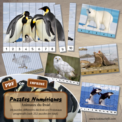 Jeu Puzzles numériques - Animaux du froid et de la banquise - 28 puzzles en 9 niveaux progressifs - Suite numérique de 1 à 20 - Comptage de 2 en 2 - Chiffres pairs et impairs - Comptage de 10 en 10 - Connaissance Chiffres et Dizaines - Mathématiques - Comptine numérique - Hiver, nature, animaux, neige, océan, Antarctique, Arctique, pôles - Atelier autonome maternelle et élémentaire - PDF à télécharger et imprimer ou jeu imprimé - cycles 1 ou 2 - lslf