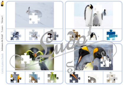 Jeu de cartes à pince - Puzzles - Thème Animaux du froid - 76 cartes autocorrectives de différents niveaux - 3 ou 4 propositions de réponses - Niveau 1 : pièces issues de puzzles différents - Niveau 2 : pièces issues du même puzzle - différents niveaux de difficulté - progressif - Autocorrection au dos : point grisé - Atelier autonome pré-scolaire, maternelle ou élémentaire - Cycles 1 et 2 - Document PDF à télécharger et imprimer ou jeu imprimé - Motricité fine et pince Pouce-Index avec pinces à linge, observation, discrimination visuelle, logique - ludique - Thème Hiver, Banquise, Antarctique, Arctique, pôles - lslf