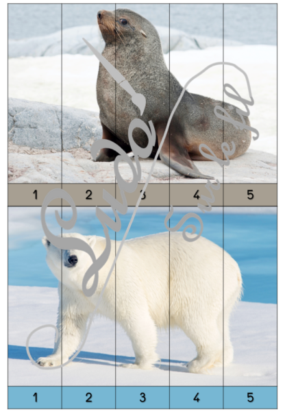 Jeu Puzzles numériques - Animaux du froid et de la banquise - 28 puzzles en 9 niveaux progressifs - Suite numérique de 1 à 20 - Comptage de 2 en 2 - Chiffres pairs et impairs - Comptage de 10 en 10 - Connaissance Chiffres et Dizaines - Mathématiques - Comptine numérique - Hiver, nature, animaux, neige, océan, Antarctique, Arctique, pôles - Atelier autonome maternelle et élémentaire - PDF à télécharger et imprimer ou jeu imprimé - cycles 1 ou 2 - lslf