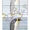 Jeu Puzzles Trac - Animaux du froid et de la banquise - inspiré du célèbre Shut the box - Fermer la boîte - Trac - lance les dés, choisis les pièces et complète ton puzzle au maximum - Mathématiques, constellations, dénombrement, additions, décomposition additive, stratégie, probabilité, différentes représentations nombre - Hiver - Jeu de société en 3 niveaux progressifs - de 1 à 18 - Atelier maternelle et élémentaire - PDF à télécharger et imprimer ou jeu imprimé - cycles 1 ou 2 - calcul - lslf