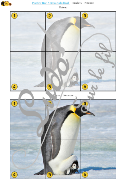 Jeu Puzzles Trac - Animaux du froid et de la banquise - inspiré du célèbre Shut the box - Fermer la boîte - Trac - lance les dés, choisis les pièces et complète ton puzzle au maximum - Mathématiques, constellations, dénombrement, additions, décomposition additive, stratégie, probabilité, différentes représentations nombre - Hiver - Jeu de société en 3 niveaux progressifs - de 1 à 18 - Atelier maternelle et élémentaire - PDF à télécharger et imprimer ou jeu imprimé - cycles 1 ou 2 - calcul - lslf