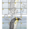 Jeu Puzzles Trac - Animaux du froid et de la banquise - inspiré du célèbre Shut the box - Fermer la boîte - Trac - lance les dés, choisis les pièces et complète ton puzzle au maximum - Mathématiques, constellations, dénombrement, additions, décomposition additive, stratégie, probabilité, différentes représentations nombre - Hiver - Jeu de société en 3 niveaux progressifs - de 1 à 18 - Atelier maternelle et élémentaire - PDF à télécharger et imprimer ou jeu imprimé - cycles 1 ou 2 - calcul - lslf