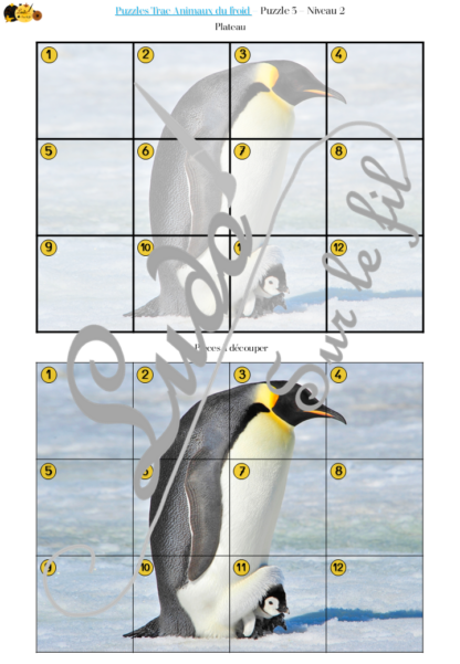 Jeu Puzzles Trac - Animaux du froid et de la banquise - inspiré du célèbre Shut the box - Fermer la boîte - Trac - lance les dés, choisis les pièces et complète ton puzzle au maximum - Mathématiques, constellations, dénombrement, additions, décomposition additive, stratégie, probabilité, différentes représentations nombre - Hiver - Jeu de société en 3 niveaux progressifs - de 1 à 18 - Atelier maternelle et élémentaire - PDF à télécharger et imprimer ou jeu imprimé - cycles 1 ou 2 - calcul - lslf