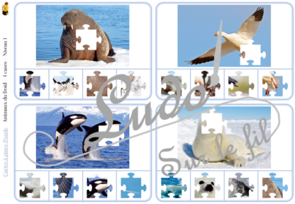 Jeu de cartes à pince - Puzzles - Thème Animaux du froid - 76 cartes autocorrectives de différents niveaux - 3 ou 4 propositions de réponses - Niveau 1 : pièces issues de puzzles différents - Niveau 2 : pièces issues du même puzzle - différents niveaux de difficulté - progressif - Autocorrection au dos : point grisé - Atelier autonome pré-scolaire, maternelle ou élémentaire - Cycles 1 et 2 - Document PDF à télécharger et imprimer ou jeu imprimé - Motricité fine et pince Pouce-Index avec pinces à linge, observation, discrimination visuelle, logique - ludique - Thème Hiver, Banquise, Antarctique, Arctique, pôles - lslf