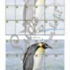 Jeu Puzzles Trac - Animaux du froid et de la banquise - inspiré du célèbre Shut the box - Fermer la boîte - Trac - lance les dés, choisis les pièces et complète ton puzzle au maximum - Mathématiques, constellations, dénombrement, additions, décomposition additive, stratégie, probabilité, différentes représentations nombre - Hiver - Jeu de société en 3 niveaux progressifs - de 1 à 18 - Atelier maternelle et élémentaire - PDF à télécharger et imprimer ou jeu imprimé - cycles 1 ou 2 - calcul - lslf