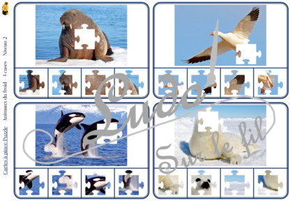 Jeu de cartes à pince - Puzzles - Thème Animaux du froid - 76 cartes autocorrectives de différents niveaux - 3 ou 4 propositions de réponses - Niveau 1 : pièces issues de puzzles différents - Niveau 2 : pièces issues du même puzzle - différents niveaux de difficulté - progressif - Autocorrection au dos : point grisé - Atelier autonome pré-scolaire, maternelle ou élémentaire - Cycles 1 et 2 - Document PDF à télécharger et imprimer ou jeu imprimé - Motricité fine et pince Pouce-Index avec pinces à linge, observation, discrimination visuelle, logique - ludique - Thème Hiver, Banquise, Antarctique, Arctique, pôles - lslf