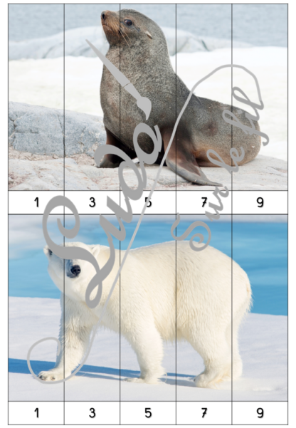 Jeu Puzzles numériques - Animaux du froid et de la banquise - 28 puzzles en 9 niveaux progressifs - Suite numérique de 1 à 20 - Comptage de 2 en 2 - Chiffres pairs et impairs - Comptage de 10 en 10 - Connaissance Chiffres et Dizaines - Mathématiques - Comptine numérique - Hiver, nature, animaux, neige, océan, Antarctique, Arctique, pôles - Atelier autonome maternelle et élémentaire - PDF à télécharger et imprimer ou jeu imprimé - cycles 1 ou 2 - lslf