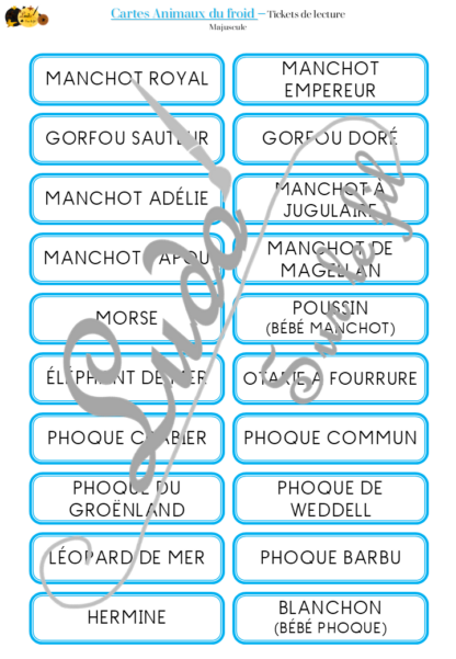 Jeu de cartes type Montessori (classifiées et de nomenclature) - Animaux du froid - Banquise, Pôles, Antarctique et Arctique - Mammifères, oiseaux, phoques, animaux marins, manchots - Photos sur fond blanc - Autocorrection au dos (noms pour lecteurs, symboles pour non lecteur) - 3 graphies disponibles - Script, majuscule, cursif - Document PDF à télécharger et imprimer ou jeu imprimé - 63 cartes - Tickets de lecture - atelier autocorrectif maternelle élémentaire - Cycle 1 ou 2 - discrimination visuelle, observation, culture générale, lecture de mots, langage oral, lexique - Hiver - lslf