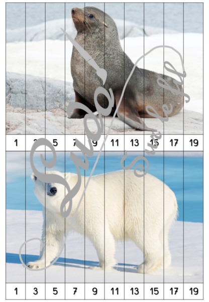 Jeu Puzzles numériques - Animaux du froid et de la banquise - 28 puzzles en 9 niveaux progressifs - Suite numérique de 1 à 20 - Comptage de 2 en 2 - Chiffres pairs et impairs - Comptage de 10 en 10 - Connaissance Chiffres et Dizaines - Mathématiques - Comptine numérique - Hiver, nature, animaux, neige, océan, Antarctique, Arctique, pôles - Atelier autonome maternelle et élémentaire - PDF à télécharger et imprimer ou jeu imprimé - cycles 1 ou 2 - lslf