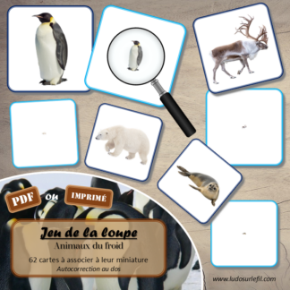 Jeu de la loupe - Animaux du froid et de la banquise - Hiver - Vocabulaire, lexique - cartes à associer aux miniatures - Apprentissage de l'utilisation de la loupe - document PDF à télécharger et à imprimer ou jeu imprimé - atelier autocorrectif et autonome maternelle - Hiver - lslf