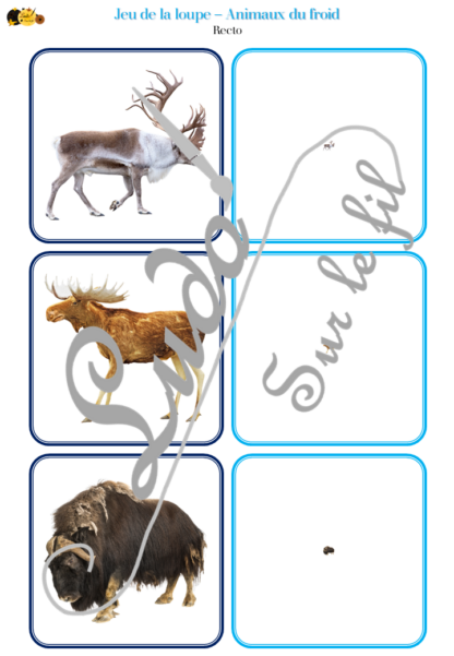 Jeu de la loupe - Animaux du froid et de la banquise - Hiver - Vocabulaire, lexique - cartes à associer aux miniatures - Apprentissage de l'utilisation de la loupe - document PDF à télécharger et à imprimer ou jeu imprimé - atelier autocorrectif et autonome maternelle - Hiver - lslf