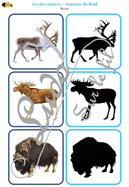 Jeu des ombres - Animaux du froid et de la banquise - Hiver - Vocabulaire, lexique - cartes à associer aux ombres - document PDF à télécharger et à imprimer ou jeu imprimé - atelier autocorrectif et autonome maternelle - Hiver - lslf