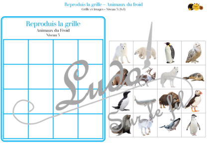 Reproduis la grille - Animaux du froid et de la banquise - 48 modèles à reproduire - Repérage dans l'espace et vocabulaire spatial - Variante pour travailler la mémoire - Variante à deux pour le langage oral - Dicte, décris la grille pour que l'autre jouer la reproduise - jeu et atelier autonome Maternelle (Cycle 1) et Primaire (Cycle 2) - PDF à télécharger et à imprimer ou jeu imprimé - difficulté progressive - repérage spatial - se repérer dans une grille, dans un tableau - Thèmes hiver, pôles, Antarctique, Arctique - lslf